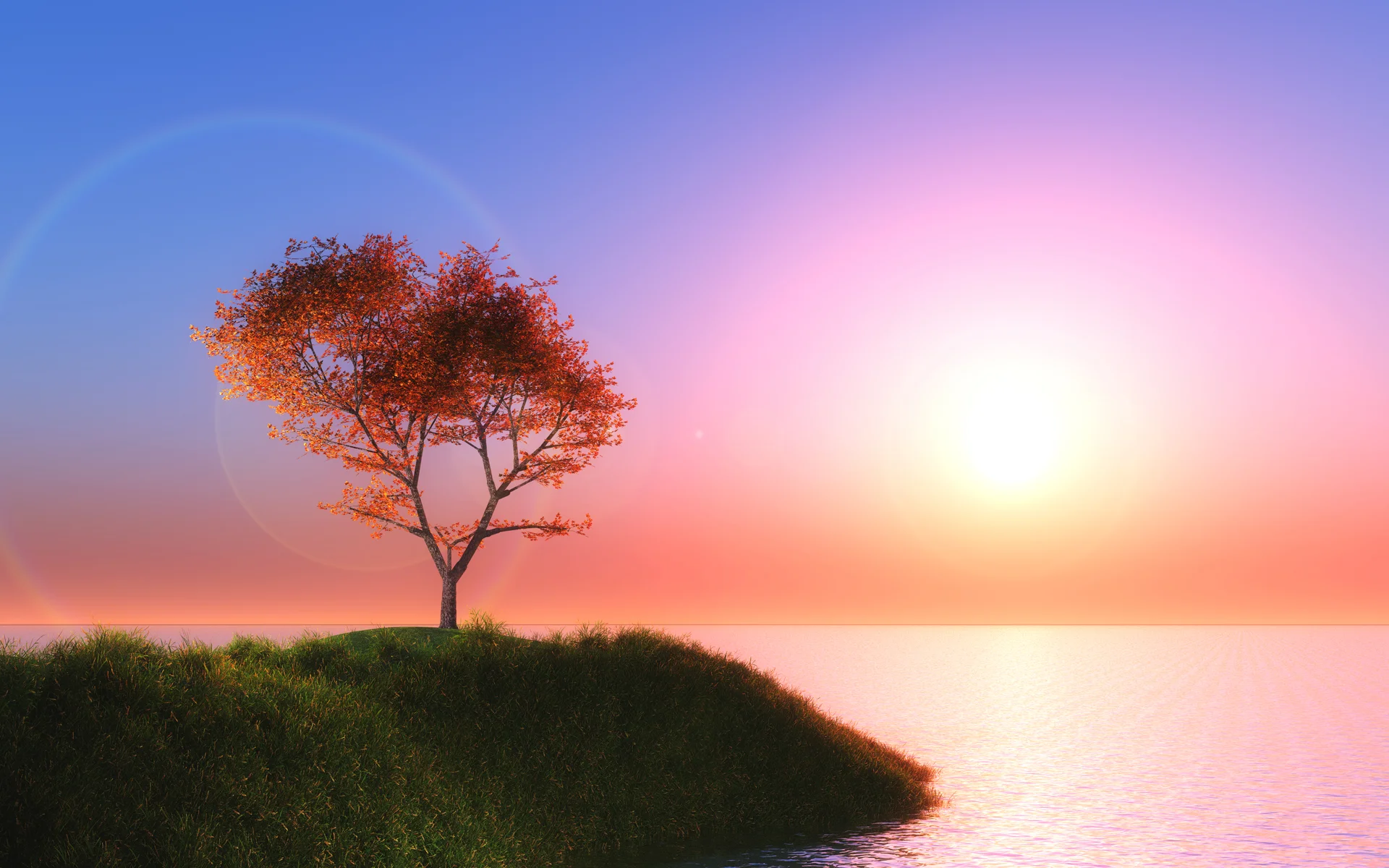 3d Maple Tree Against Sunset Sky. Nature wallpaper. 6000×3750px. Free download for personal use.