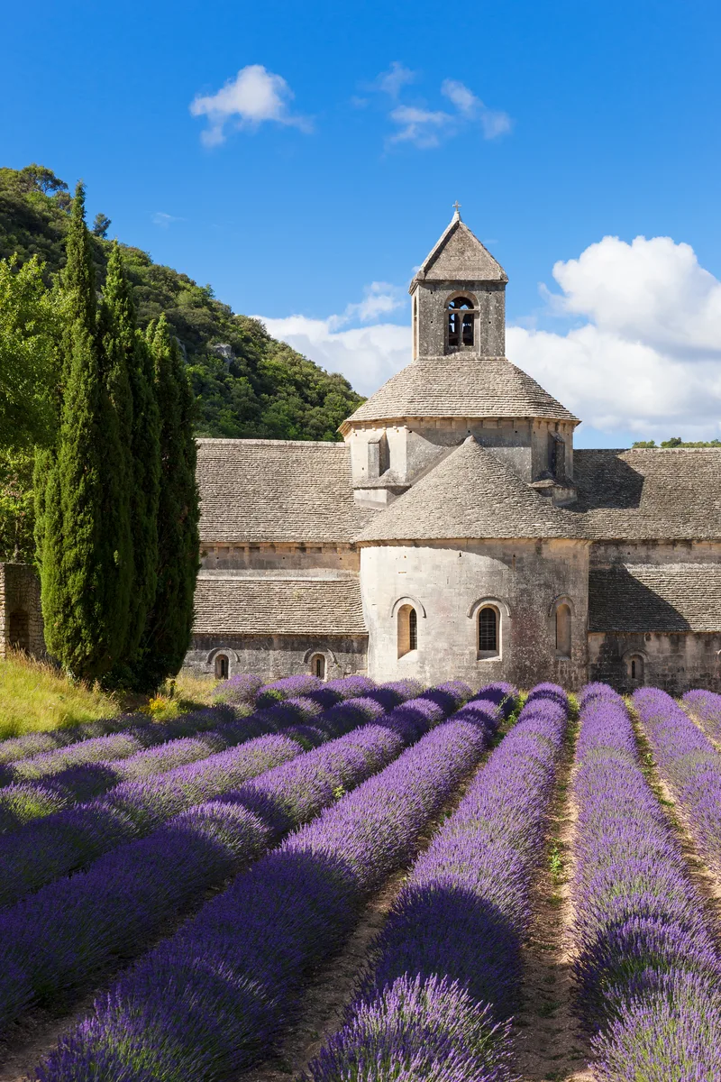Abbey Senanque Lavender Field France