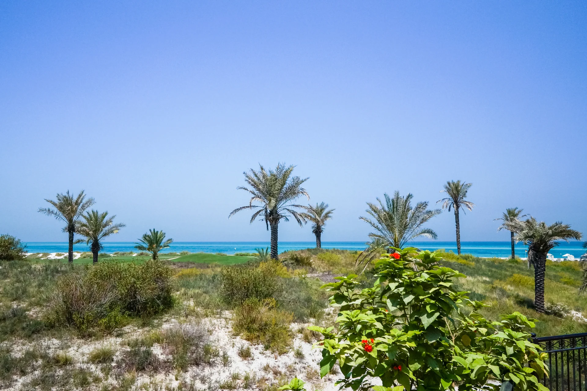 Abu Dhabi Clean Beach Shoreline Arabian Gulf Island Saadiyat United Arab Emirates. Nature wallpaper. 3235×2156px. Free dow…