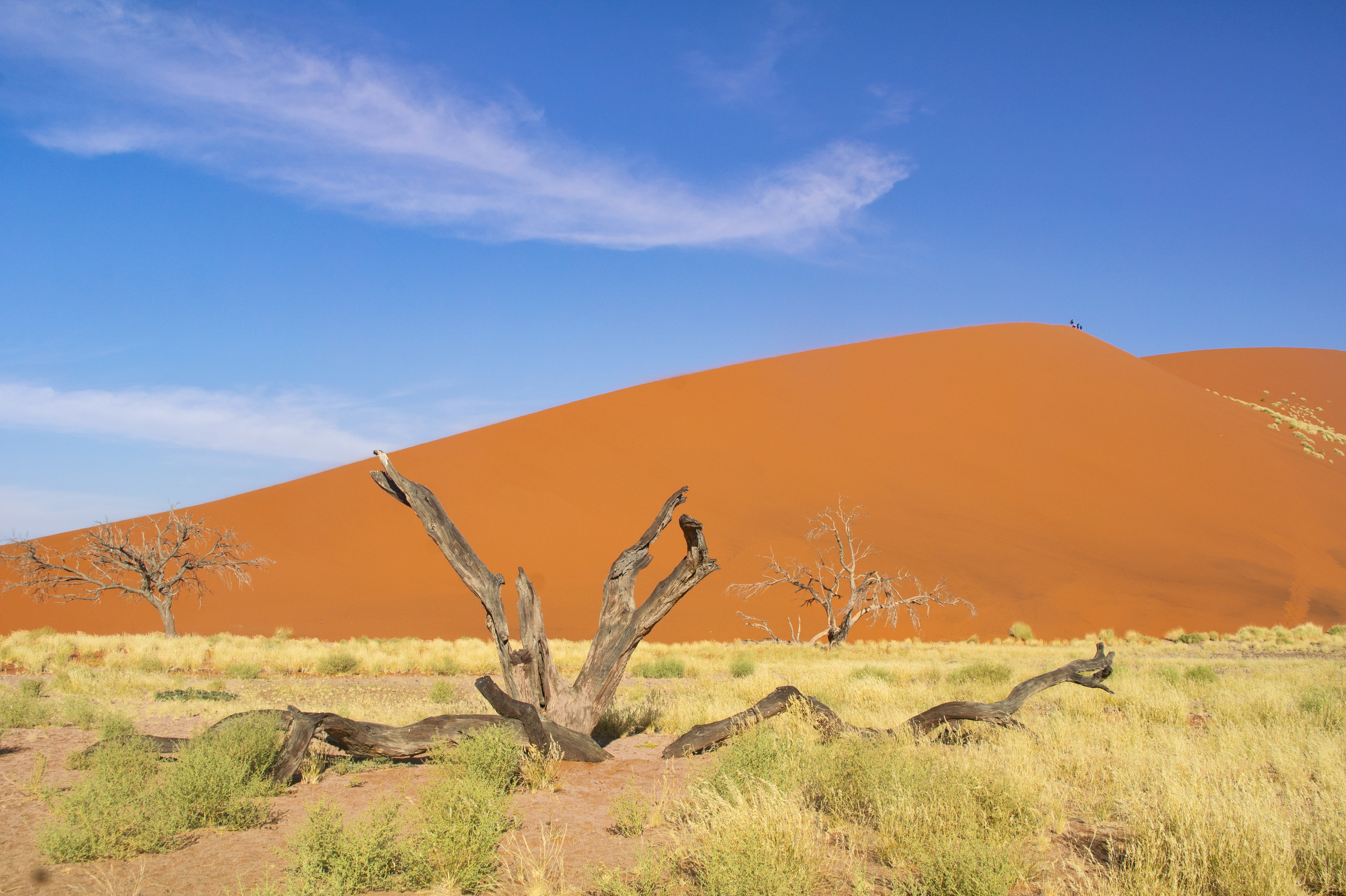 African Landscape Beautiful Sunset Dunes Trees Nature Namib Desert Sossusvlei Namibia