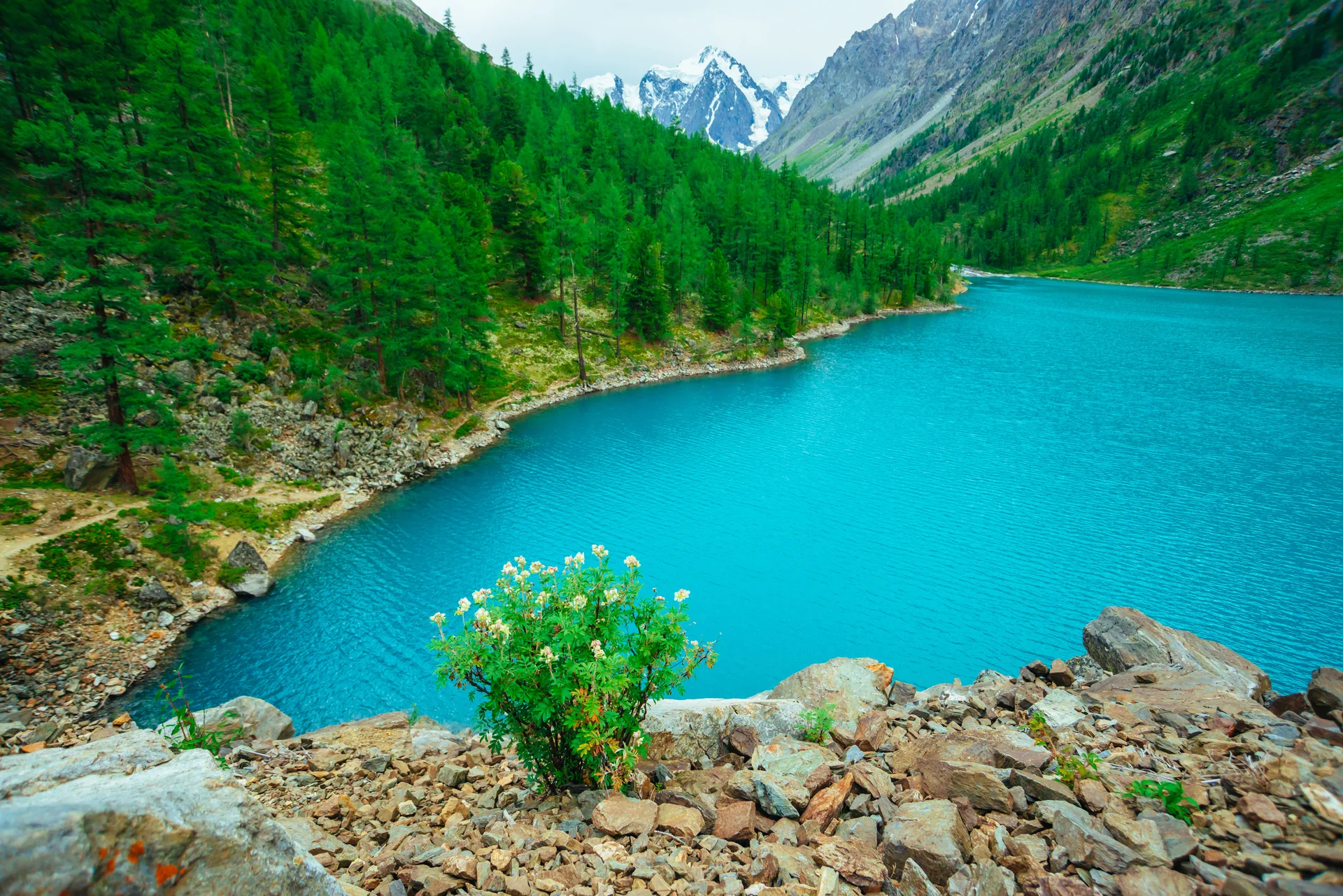 Amazing Mountains With Conifer Forest Blue River. Nature wallpaper. 4200×2803px. Free download for personal use.