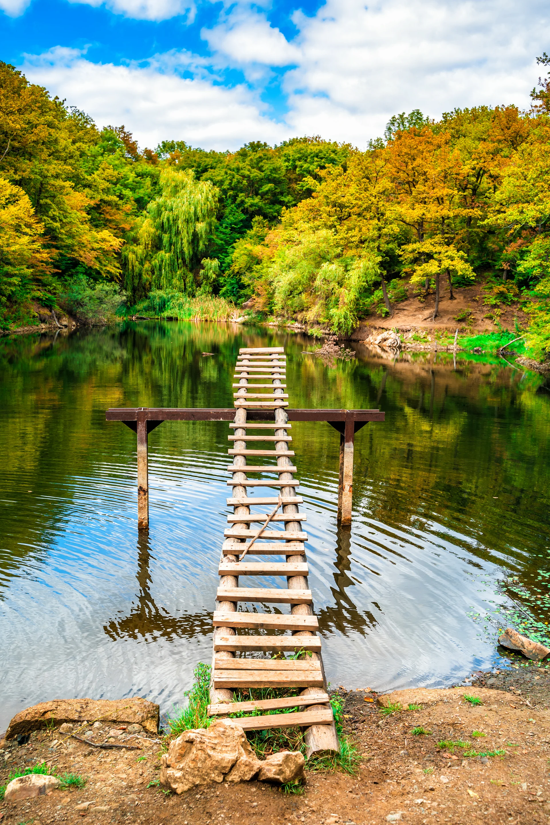 Amazing Summer Landscape With Forest Mountain Lake Wooden Bridge Panoramic View 1. Nature wallpaper. 4000×6000px. Free dow…