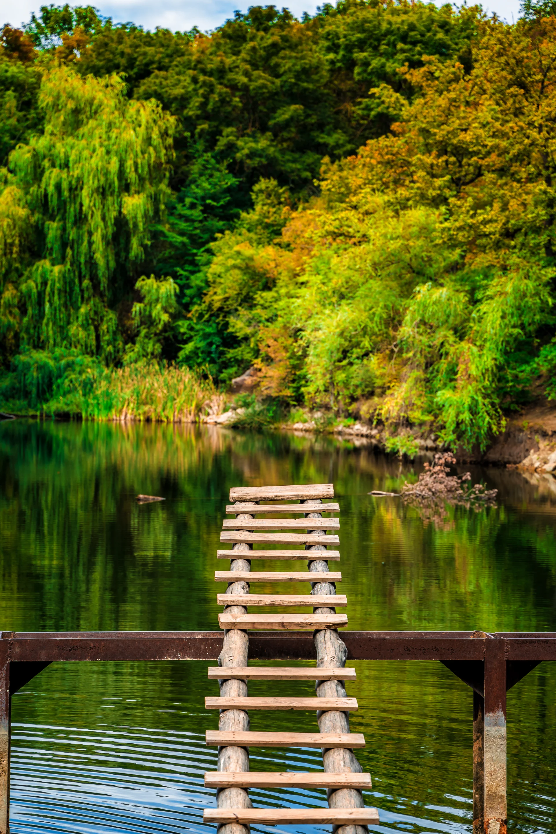 Amazing Summer Landscape With Forest Mountain Lake Wooden Bridge Panoramic View. Nature wallpaper. 3862×5793px. Free downl…