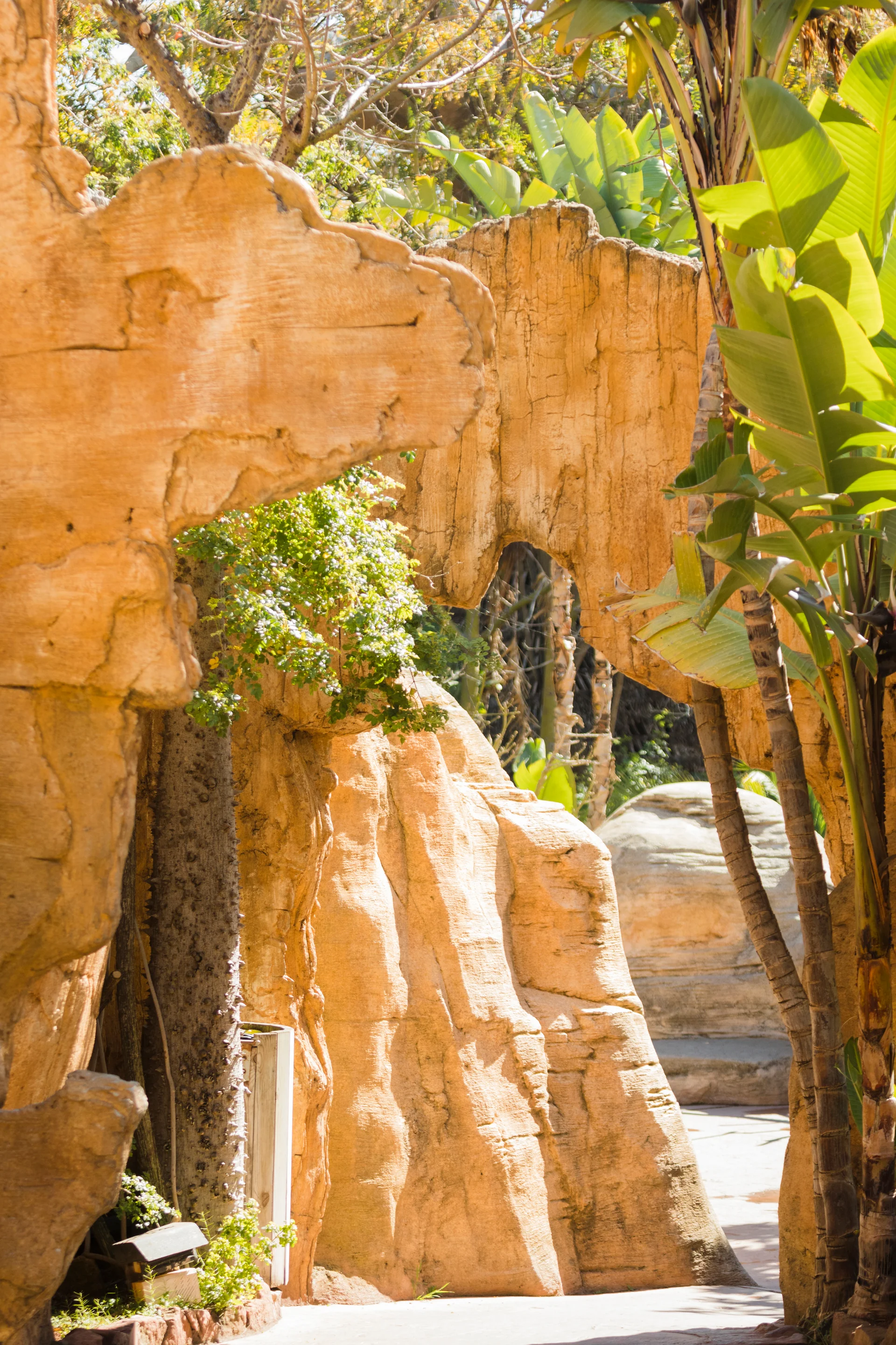 Animal Habitat. Animals wallpaper. 3971×5956px. Free download for personal use.
