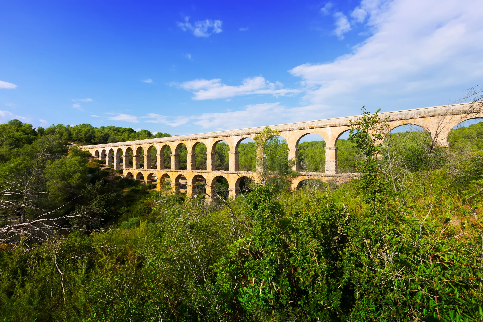 Antique Aqueduct Summer Forest Tarragona. Nature wallpaper. 5430×3620px. Free download for personal use.