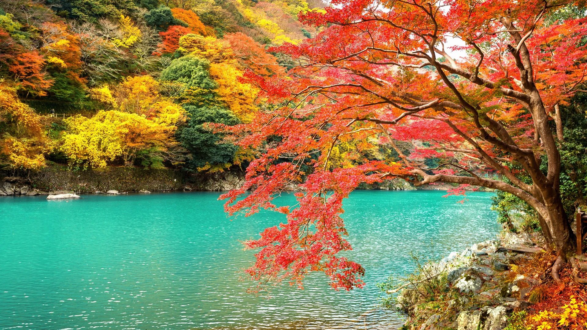 Arashiyama Autumn Season Along River Kyoto Japan. Uncategorized wallpaper. 4928×2772px. Free download for personal use.