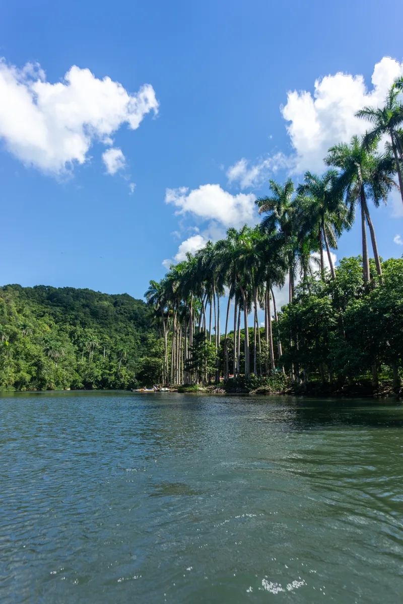 Arboleda Matanzas Yumuri River Boat Ride Images From All Place