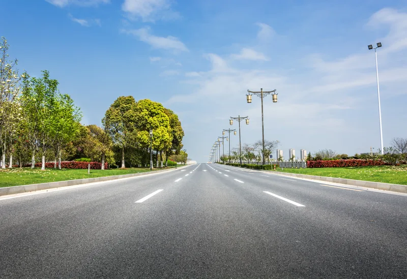 Asphalt Road With Trees Lampposts