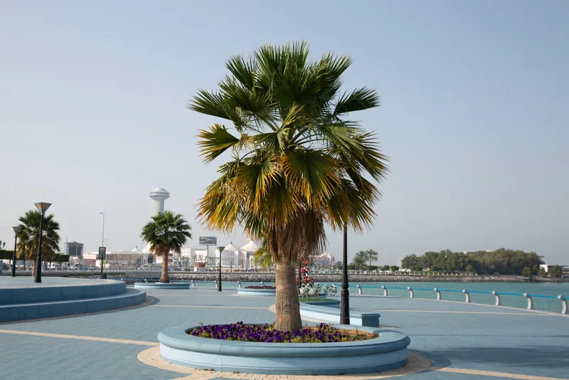 Beautiful Alley Walking Abu Dhabi