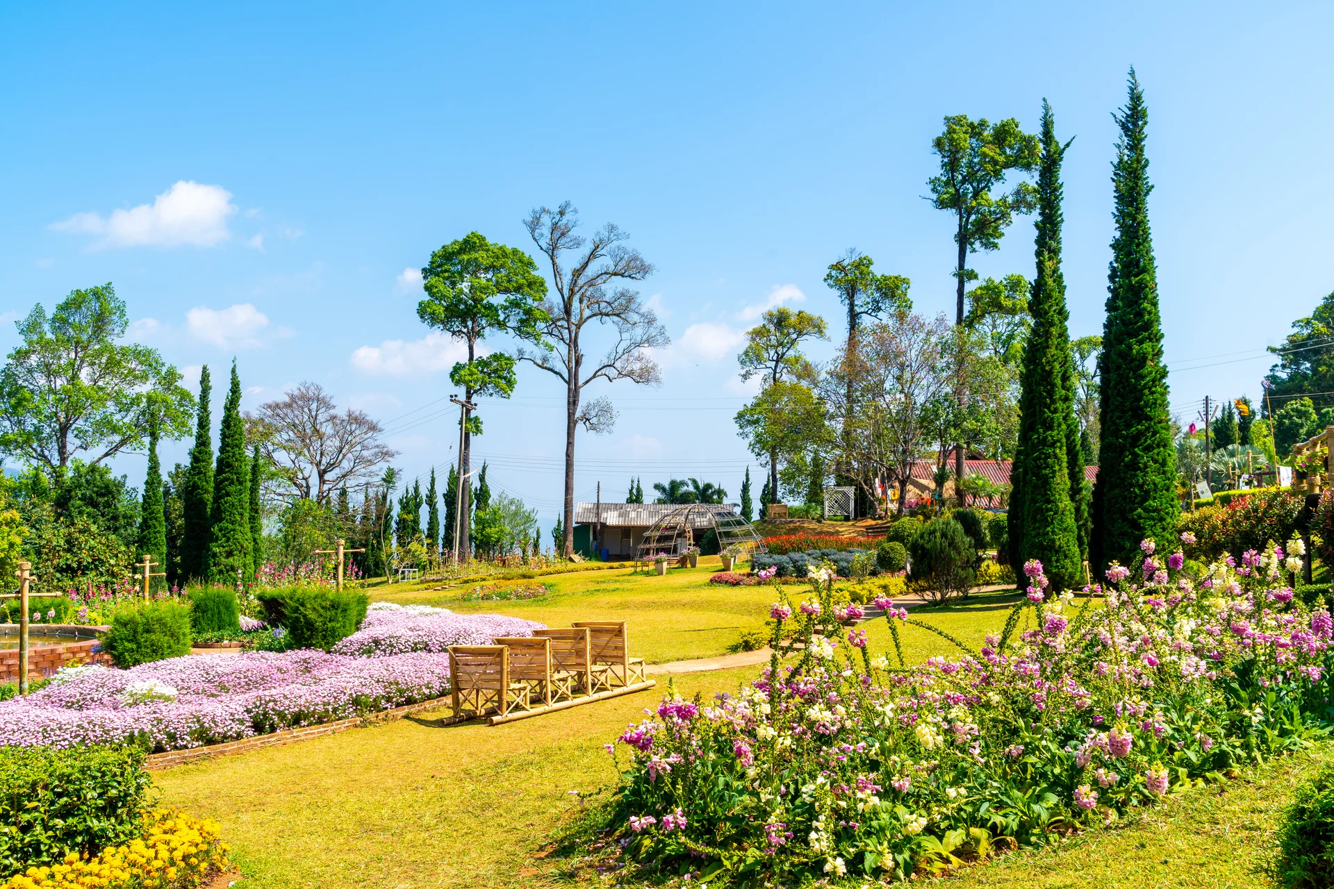 Beautiful Garden Park Mountain Chiang Mai Thailand 1. Nature wallpaper. 7885×5259px. Free download for personal use.