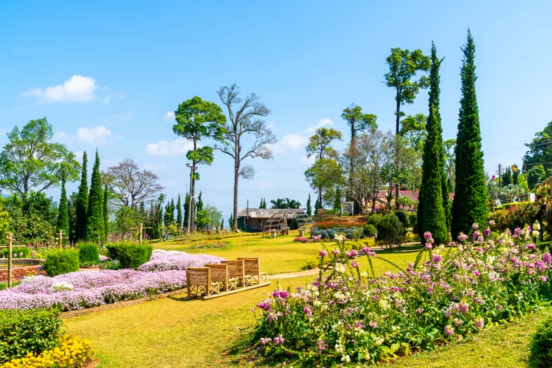Beautiful Garden Park Mountain Chiang Mai Thailand 1