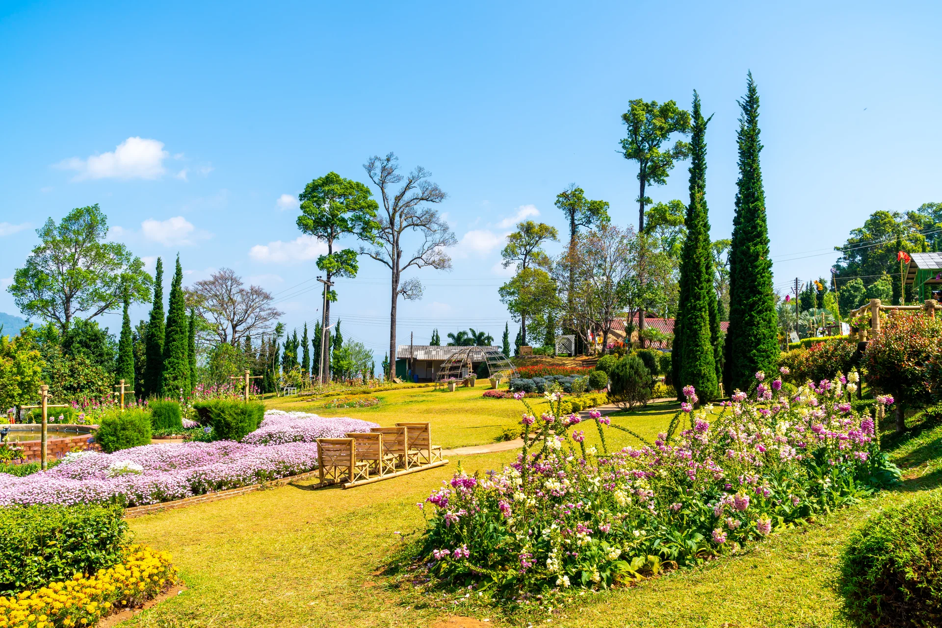 Beautiful Garden Park Mountain Chiang Mai Thailand. Nature wallpaper. 7952×5304px. Free download for personal use.
