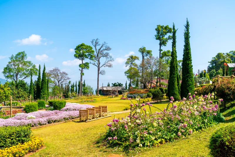 Beautiful Garden Park Mountain Chiang Mai Thailand