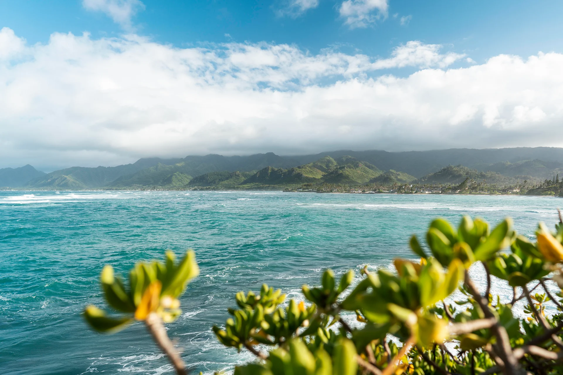 Beautiful Hawaii Landscape With Blue Sea. Nature wallpaper. 7018×4681px. Free download for personal use.