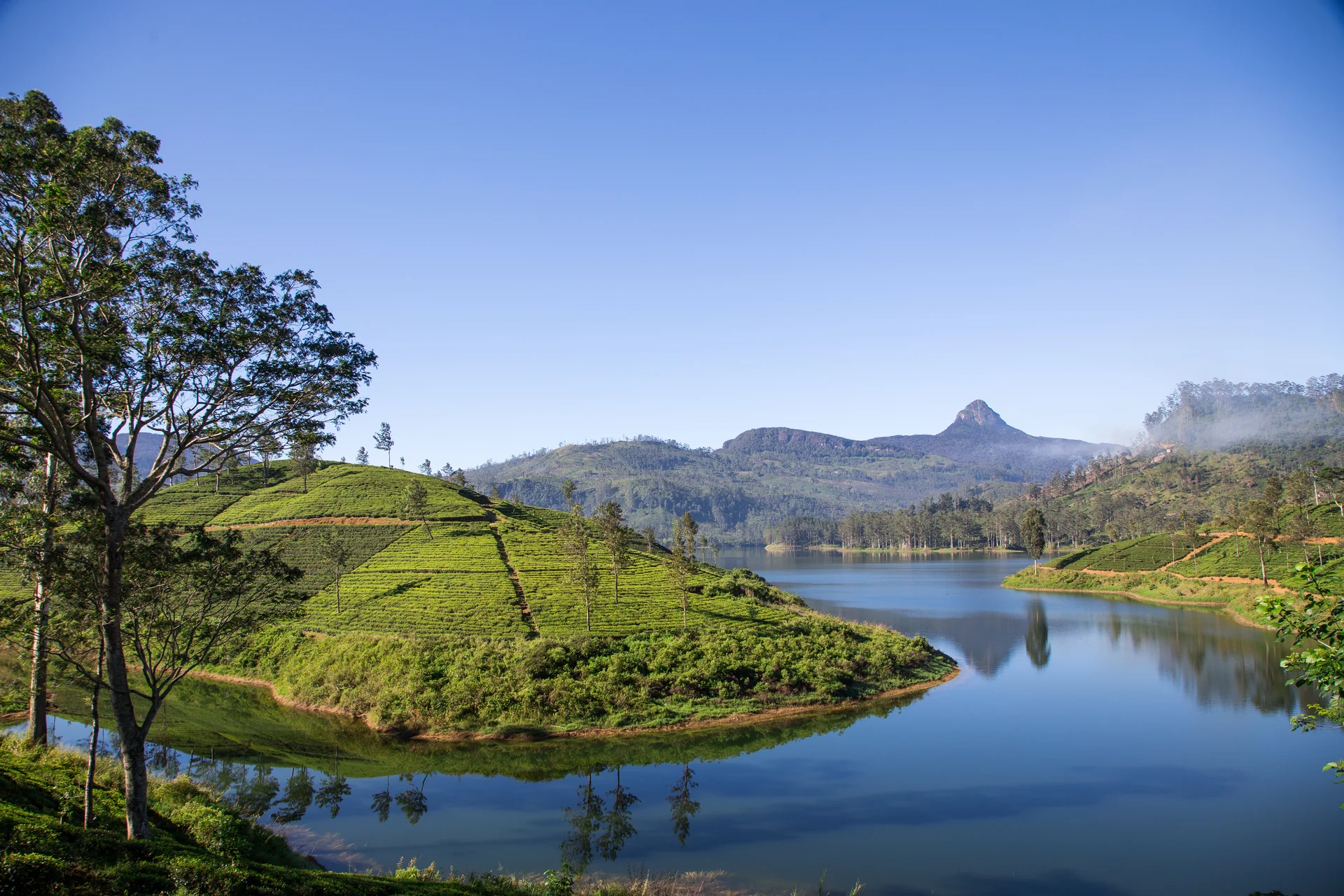 Beautiful Landscape Sri Lanka River Mountains Tea Plantations. Nature wallpaper. 5472×3648px. Free download for personal use.