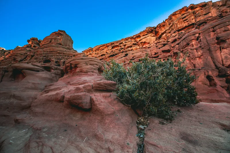 Beautiful Mountain Landscape Sinai Desert Egypt Canyon South Sinai