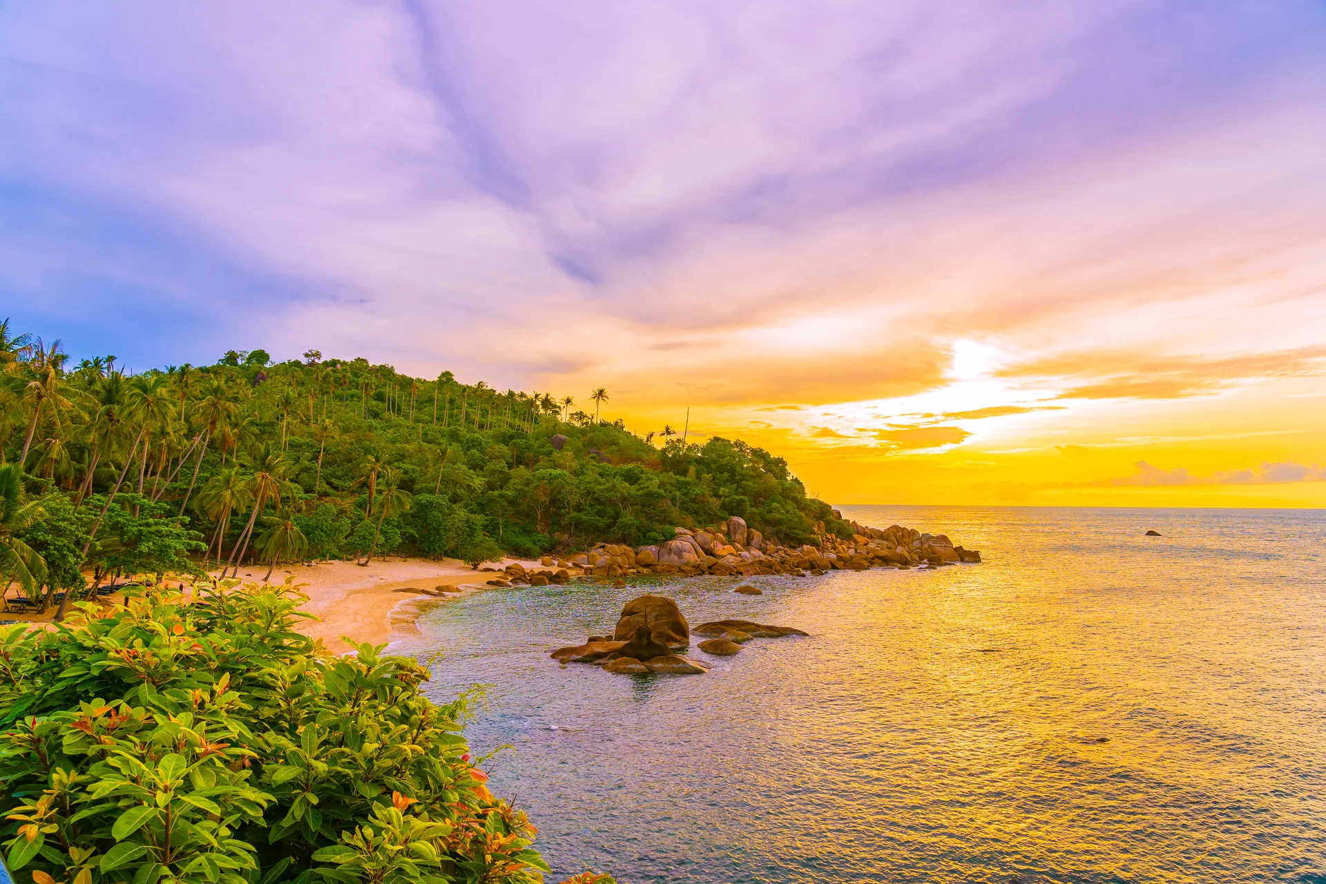 Beautiful Outdoor Tropical Beach Sea Around Samui Island With Coconut Palm Tree. Nature wallpaper. 6000×4000px. Free downl…