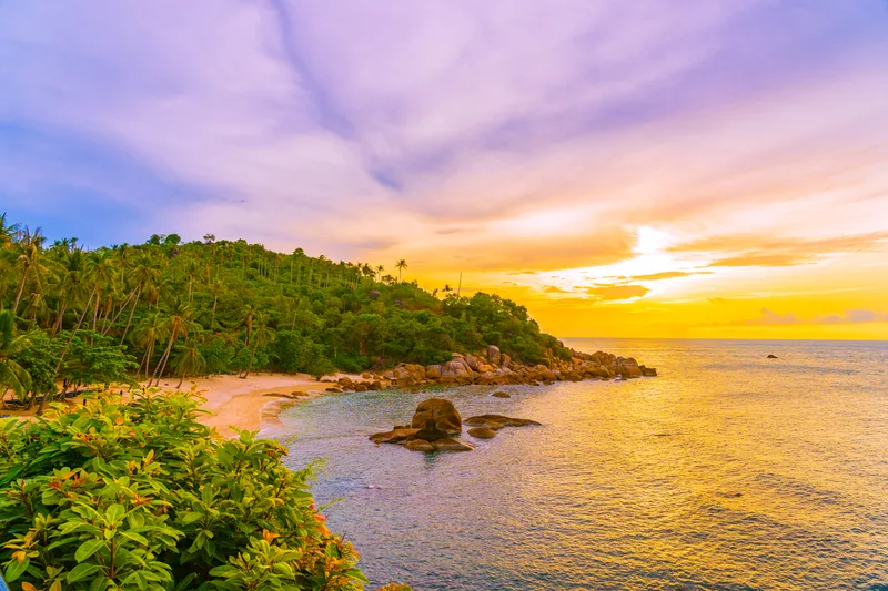 Beautiful Outdoor Tropical Beach Sea Around Samui Island With Coconut Palm Tree