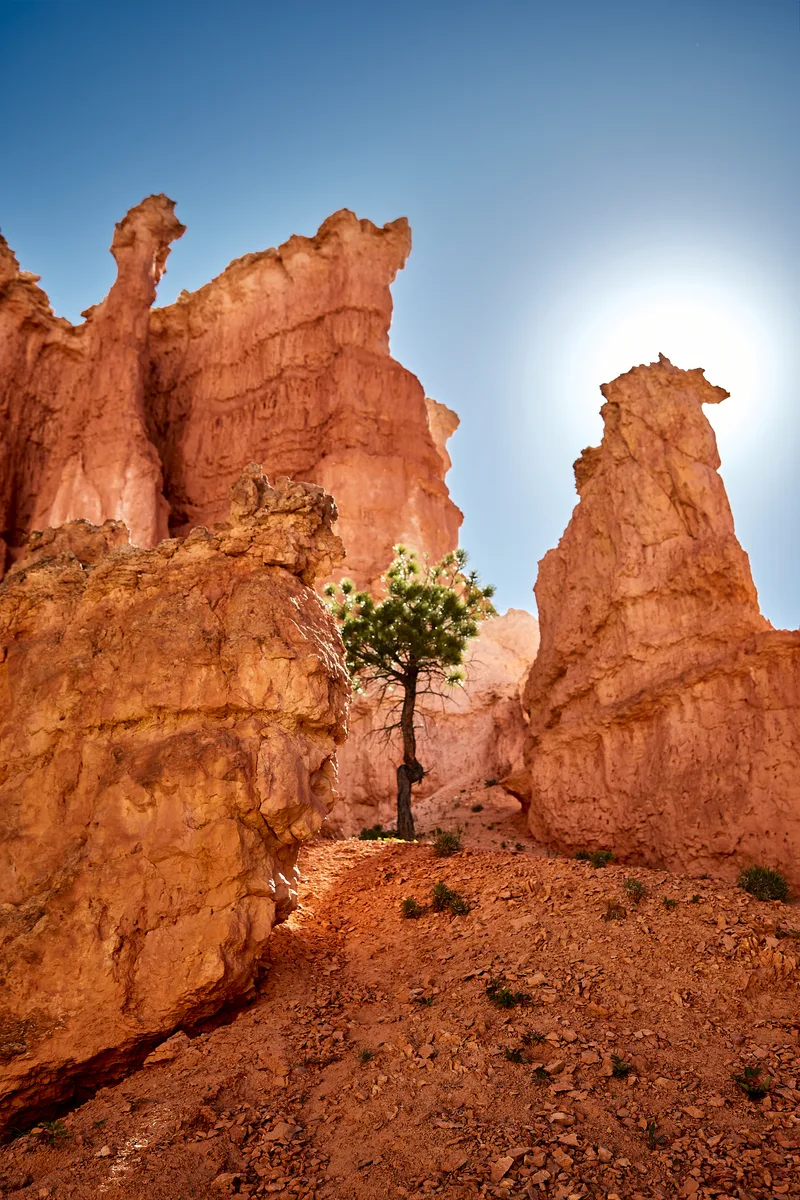 Beautiful Scenery Canyon Landscape Bryce Canyon National Park Utah Usa
