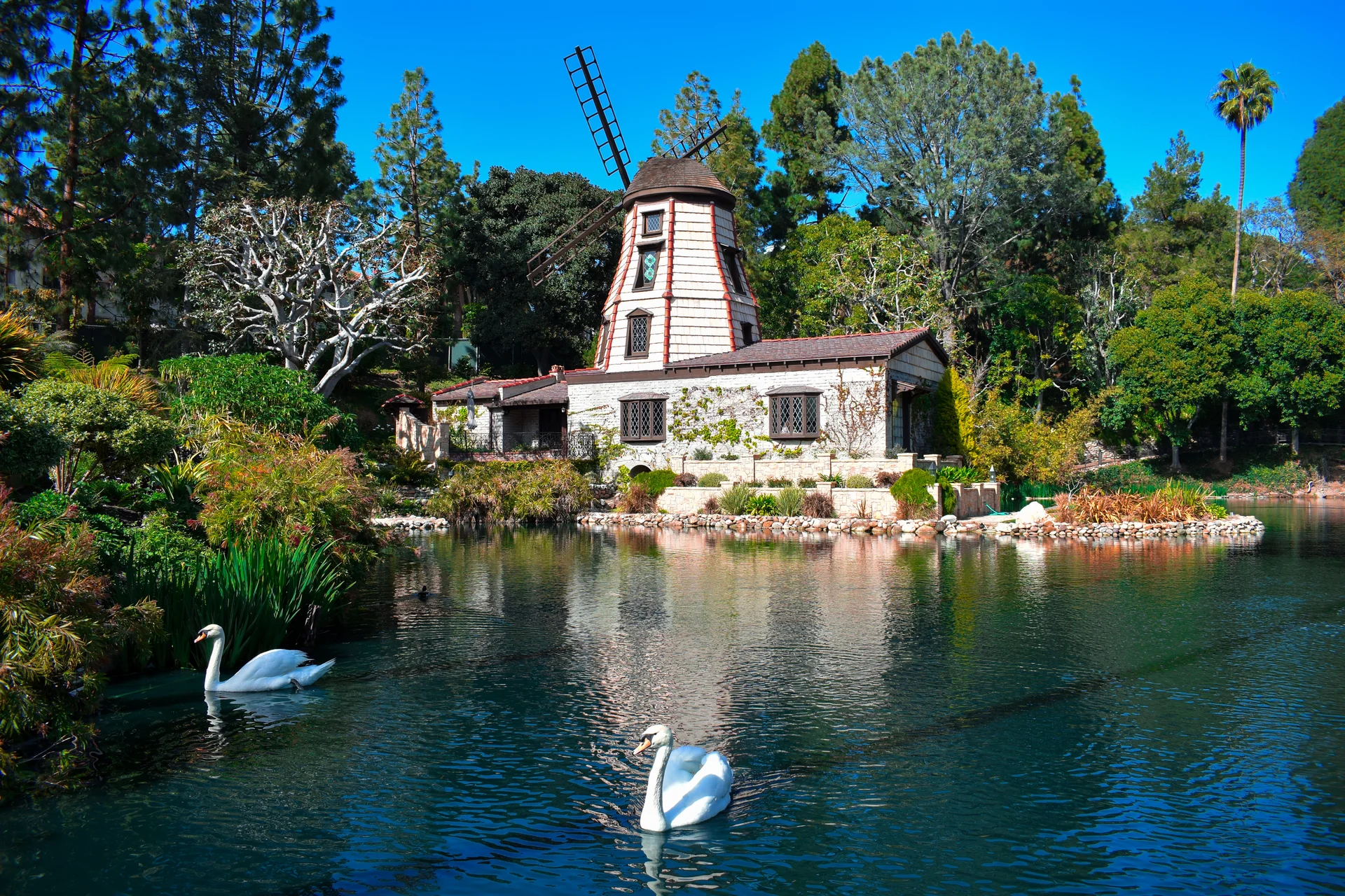 Beautiful Shot Country Estate With Swan Lake Surrounded By Green Scenery. Nature wallpaper. 6000×4000px. Free download for…