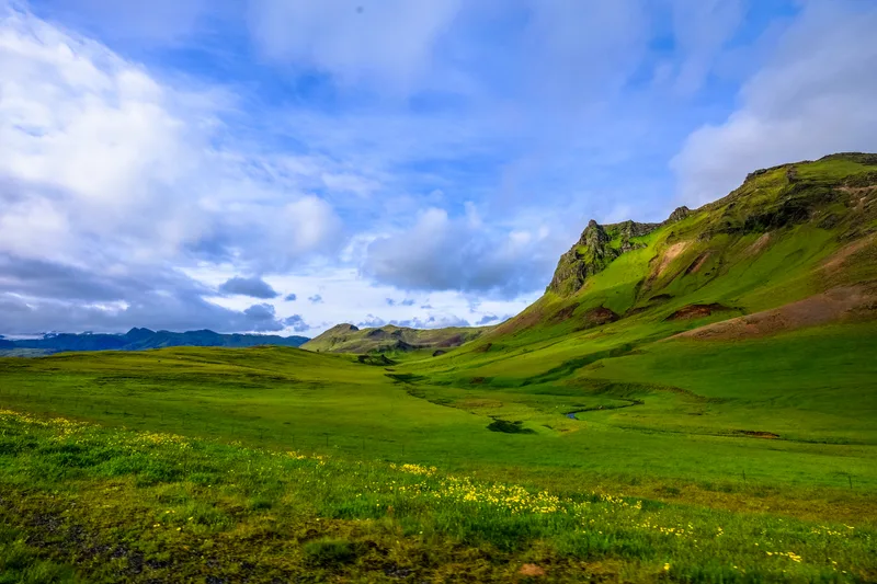 Beautiful Shot Grassy Field With Yellow Flowers Near Mountains Cloudy Sky