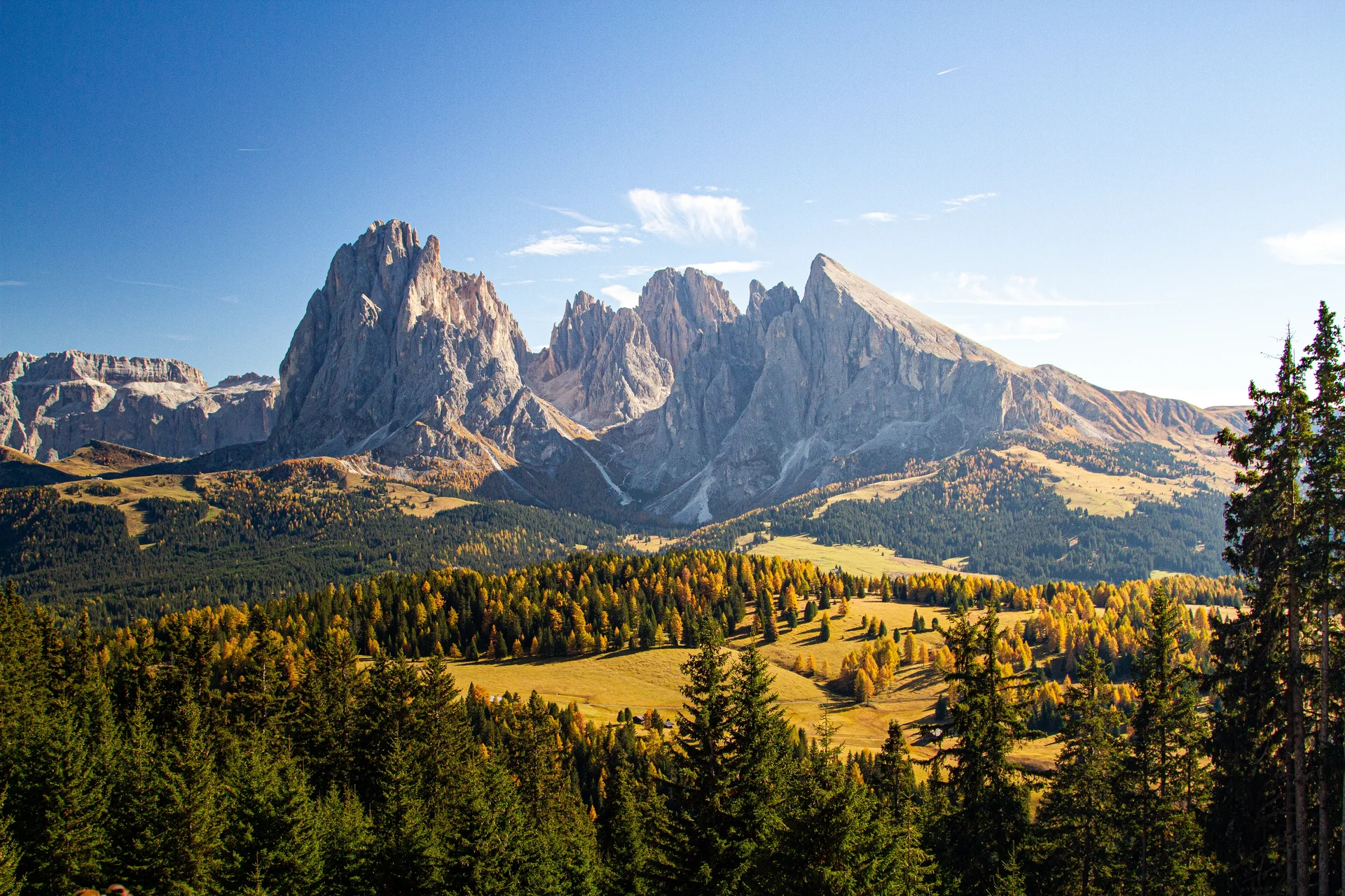 Beautiful Shot Grassy Hills Covered Trees Near Mountains Dolomites Italy. Uncategorized wallpaper. 5184×3456px. Free downl…