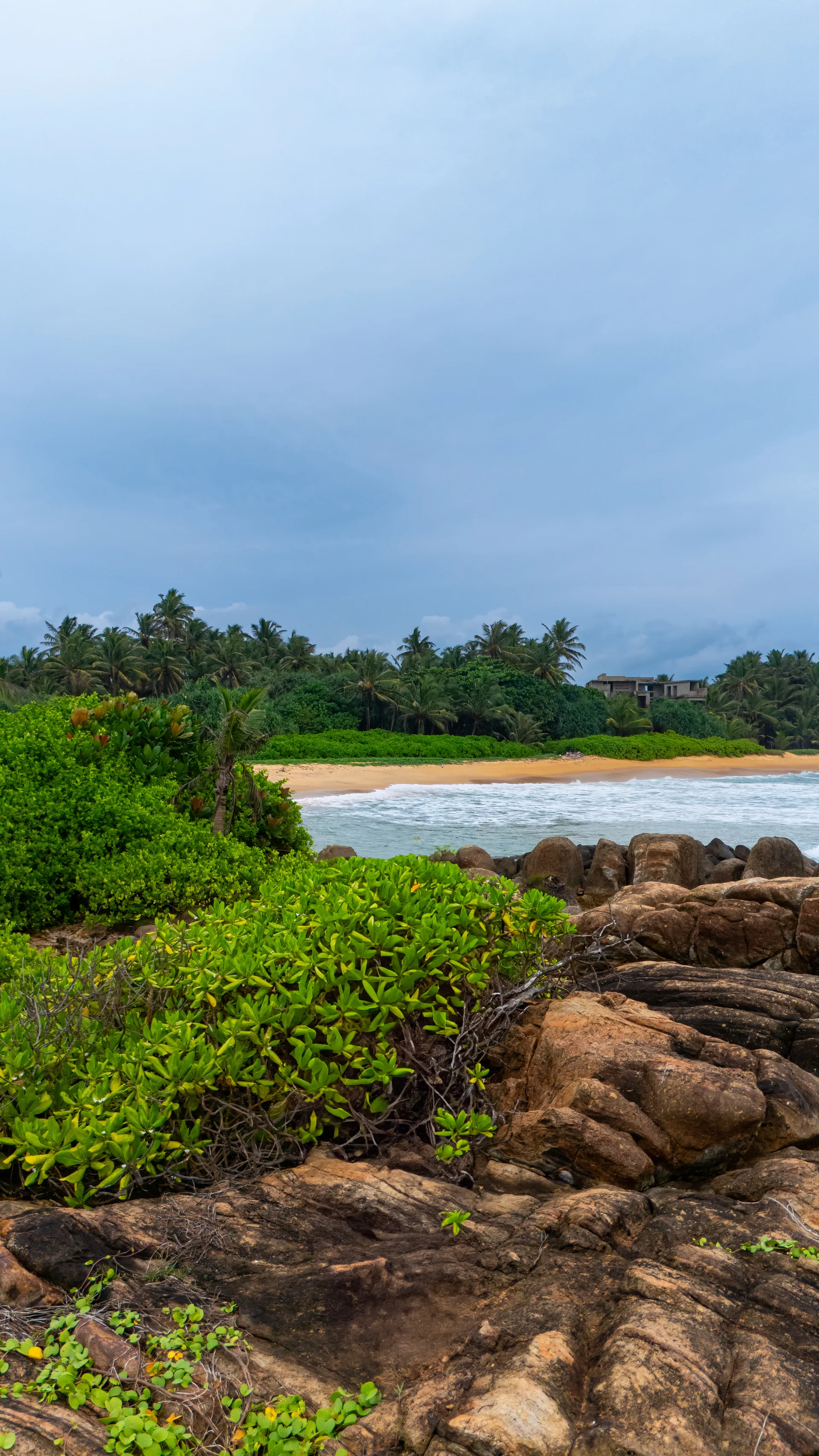 Beautiful Sri Lankan Coastline With Lush Greenery Waves Gently Crash Against Rocky Shores While Vibrant Greenery Frames Se…