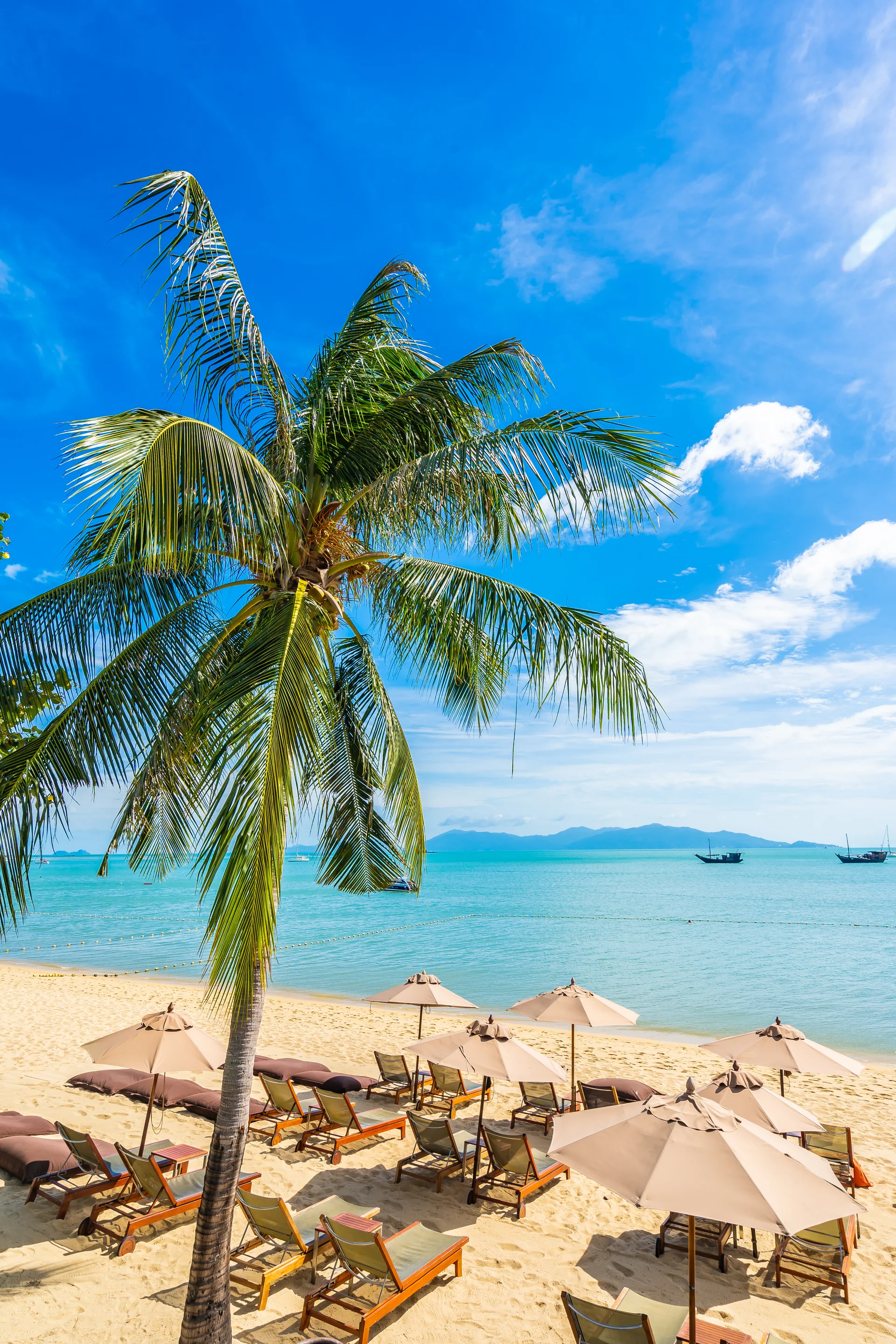 Beautiful Tropical Beach Sea Ocean With Coconut Palm Tree Umbrella Chair Blue Sky 1. Nature wallpaper. 4000×6000px. Free d…