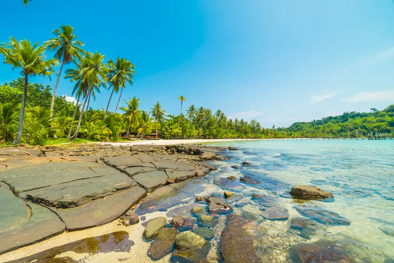 Beautiful Tropical Beach Sea