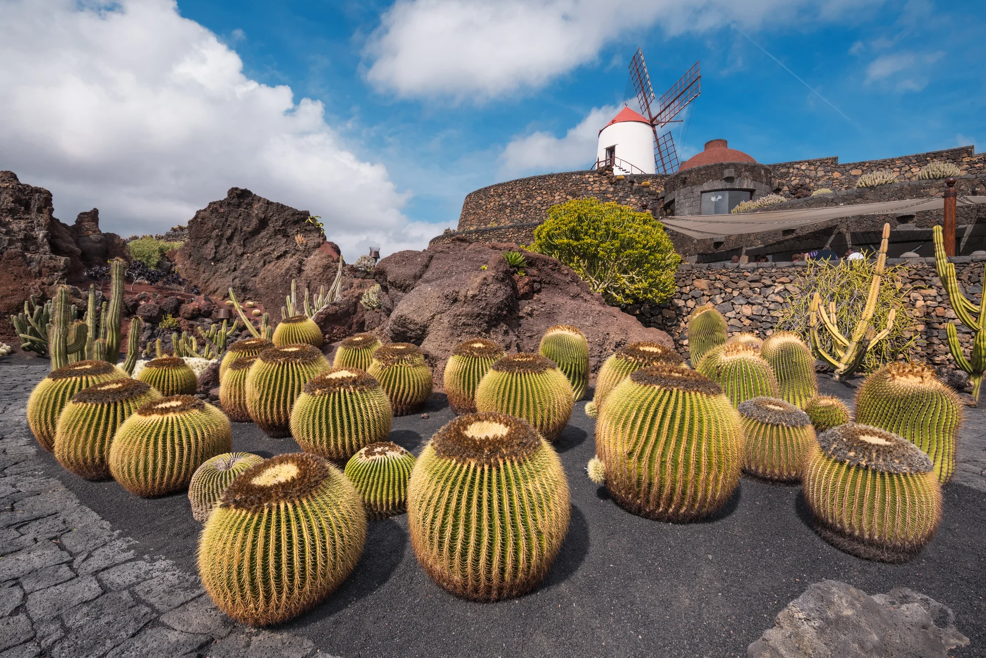 Beautiful Tropical Cactus Garden Guatiza Lanzarote Canary Islands Spain. Uncategorized wallpaper. 6016×4016px. Free downlo…
