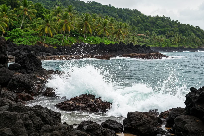 Beautiful Tropical Nature