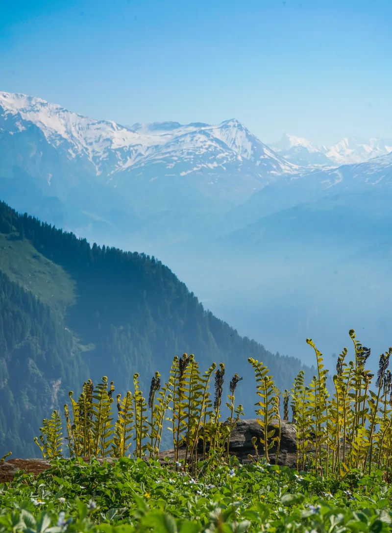 Beautiful View Mountains Sunny Day