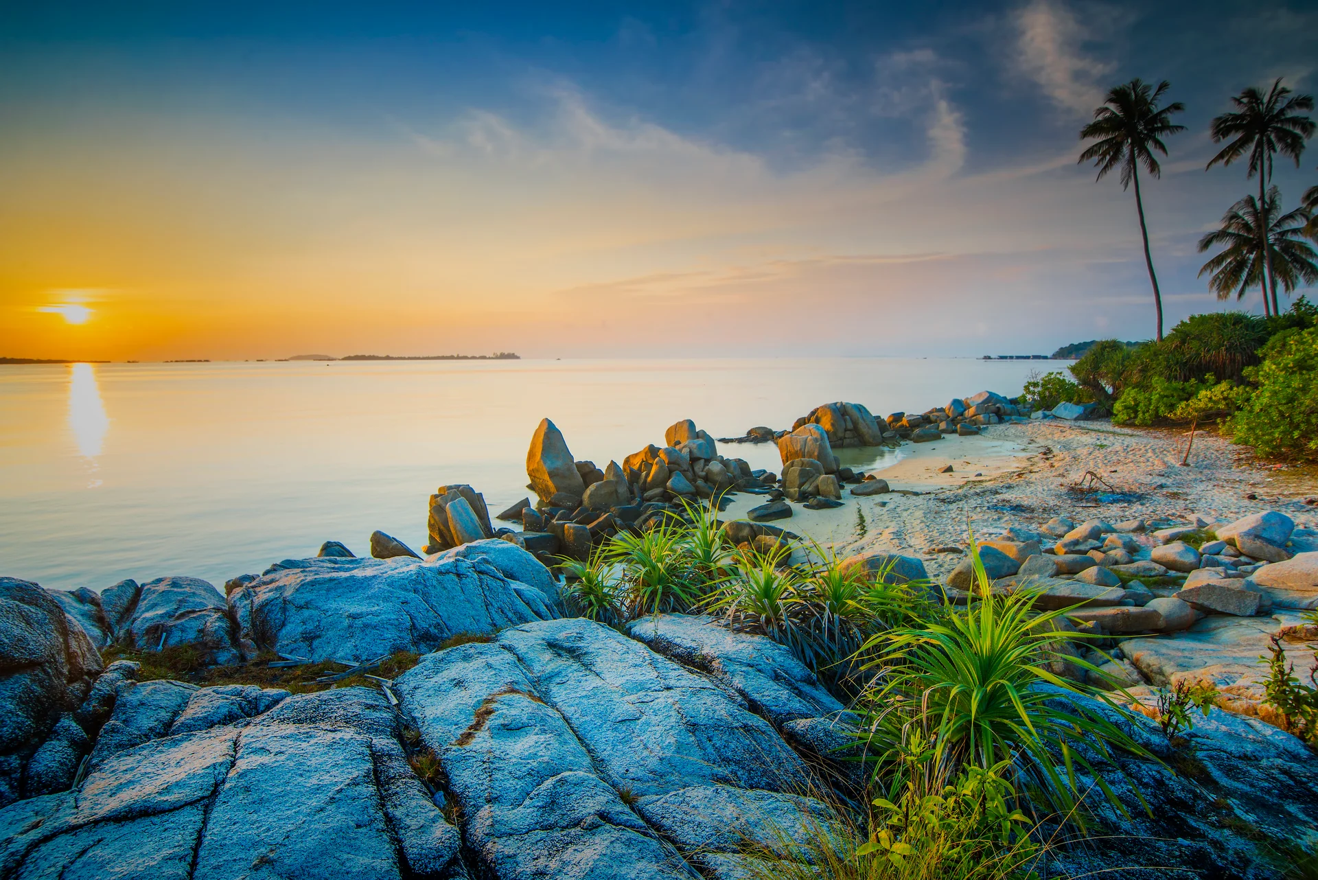 Beautiful View With Coconut Trees Along Beach Bintan Island. Nature wallpaper. 6016×4016px. Free download for personal use.
