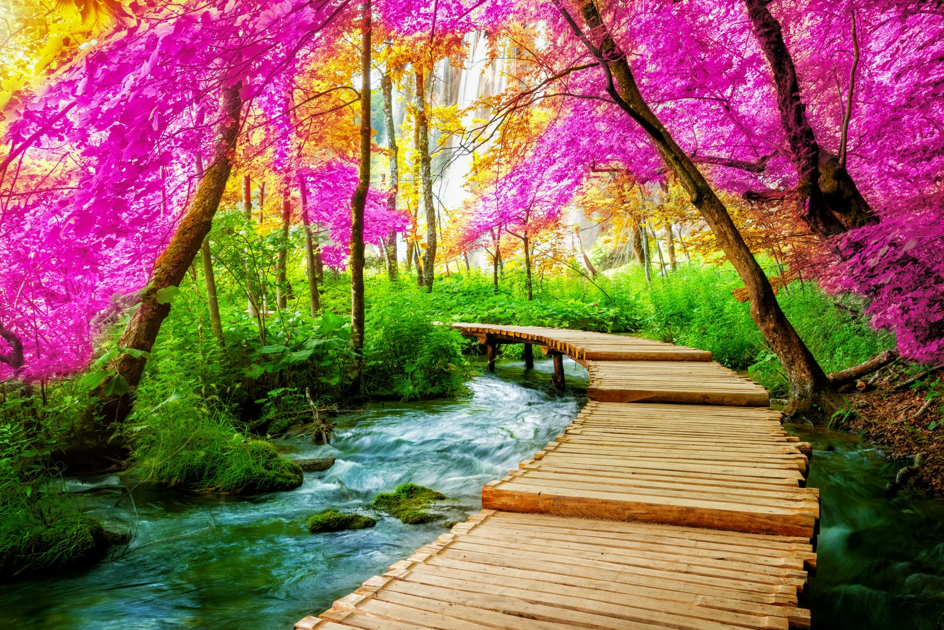 Beautiful Wooden Path Plitvice Lake Croatia. Nature wallpaper. 2998×2000px. Free download for personal use.