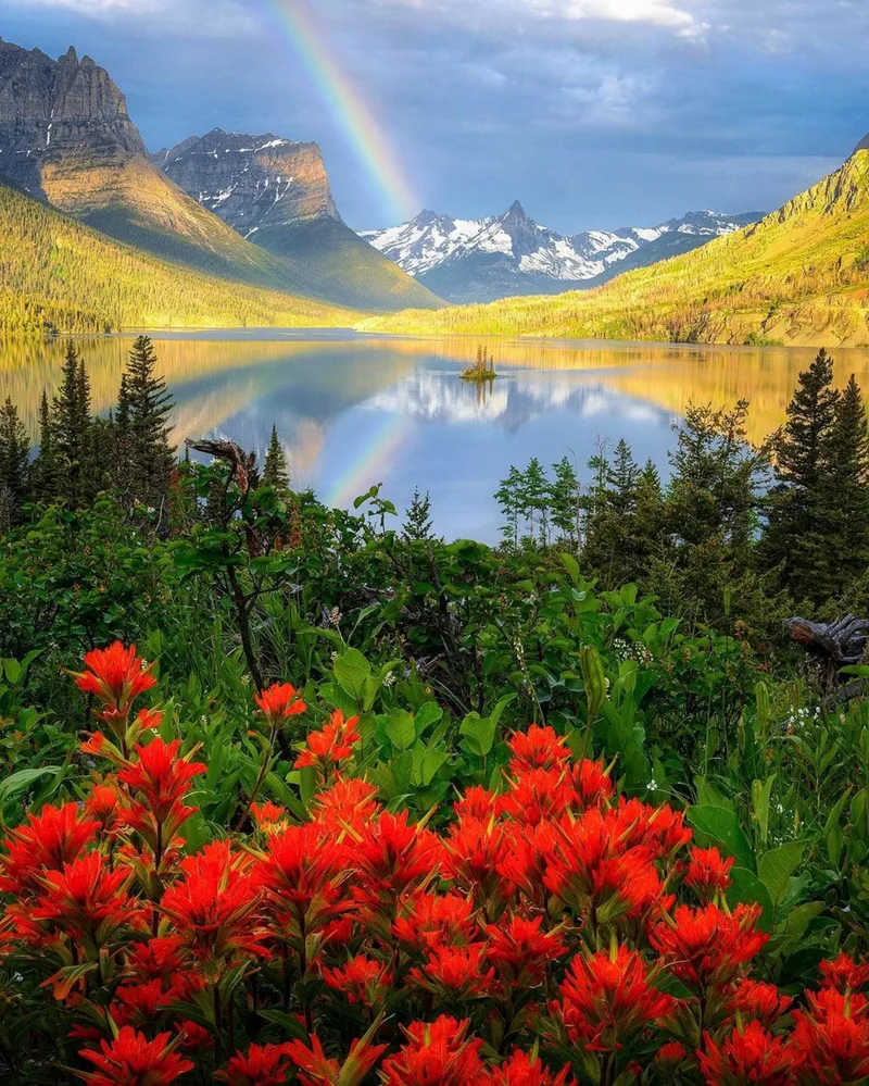 Best Natural Images Pictures