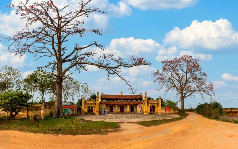 Big Tree Beautiful Sky