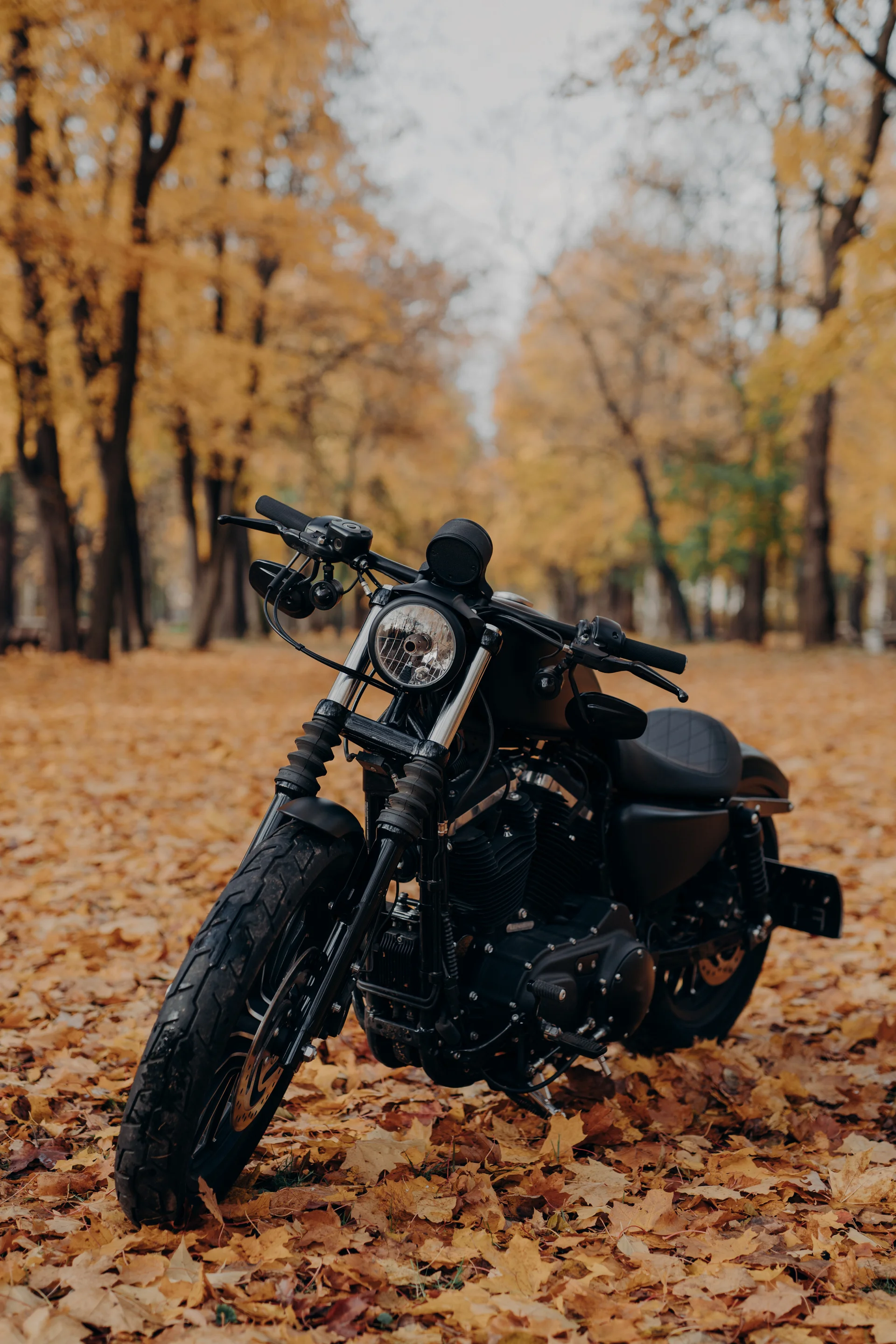 Black Motorbike Autumn Park. Nature wallpaper. 3755×5633px. Free download for personal use.