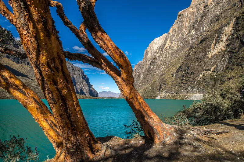 Breathtaking View Trees By Lake Huascaran National Park Captured Huallin Peru