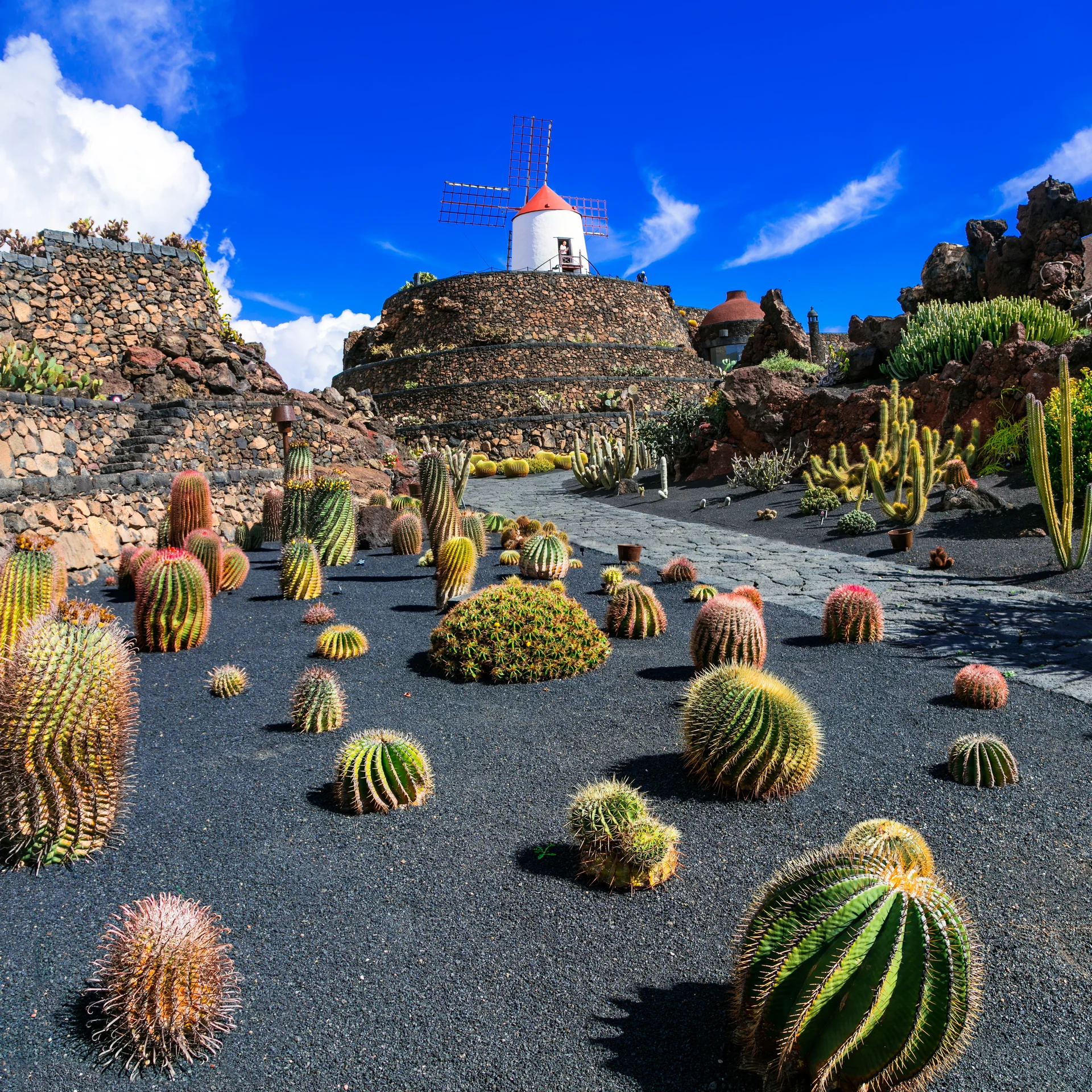 Cactus Garden Popular Attraction Lanzarote Canary Island. Nature wallpaper. 5000×5000px. Free download for personal use.