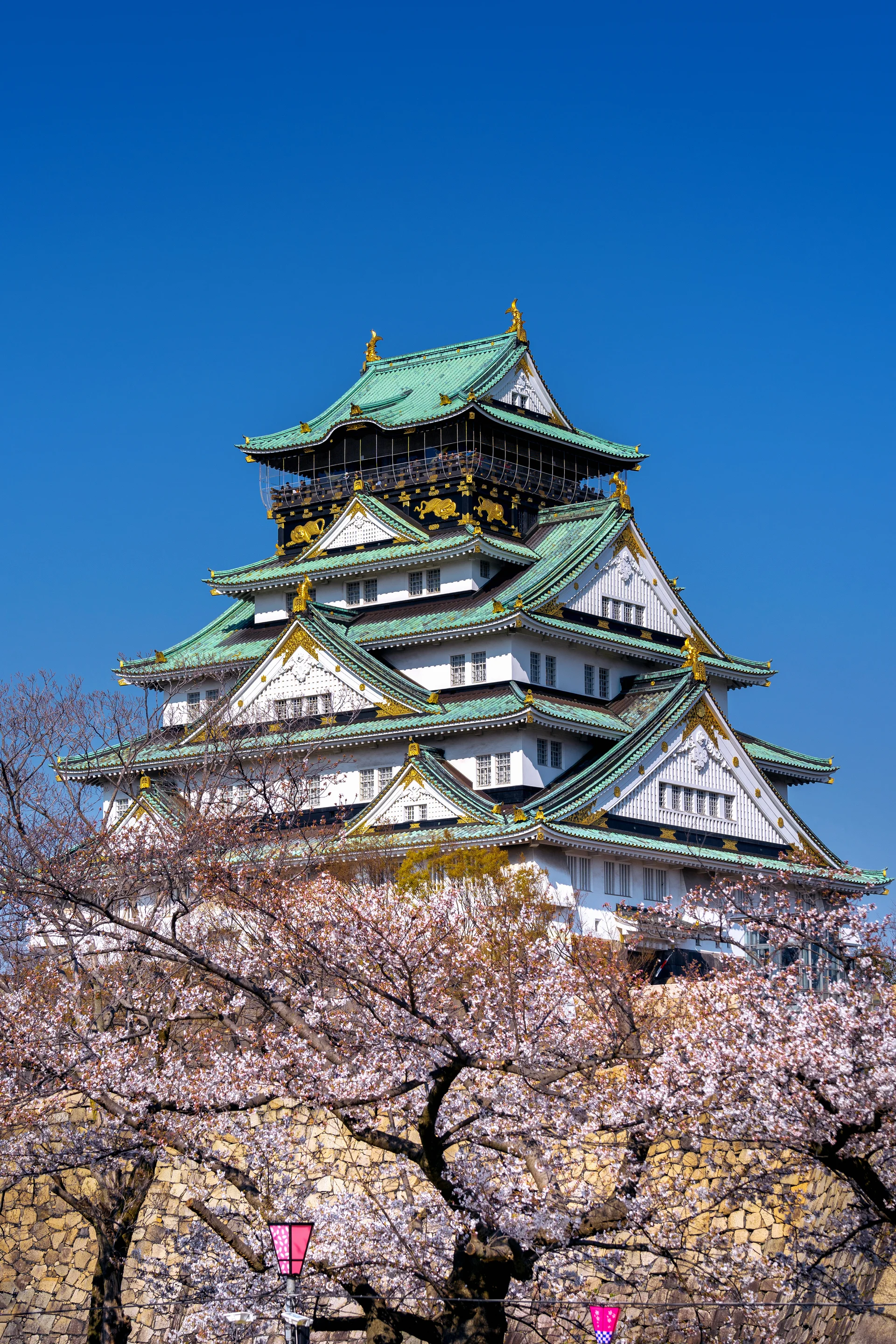 Cherry Blossoms Castle Osaka Japan. Uncategorized wallpaper. 4000×6000px. Free download for personal use.