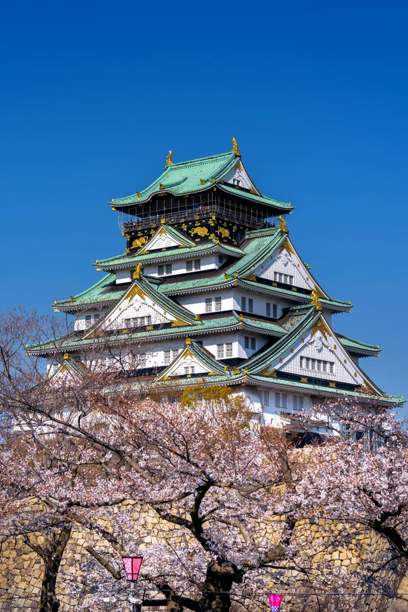 Cherry Blossoms Castle Osaka Japan