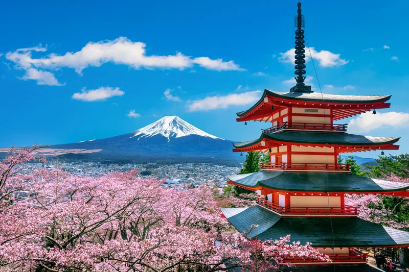 Cherry Blossoms Spring Chureito Pagoda Fuji Mountain Japan