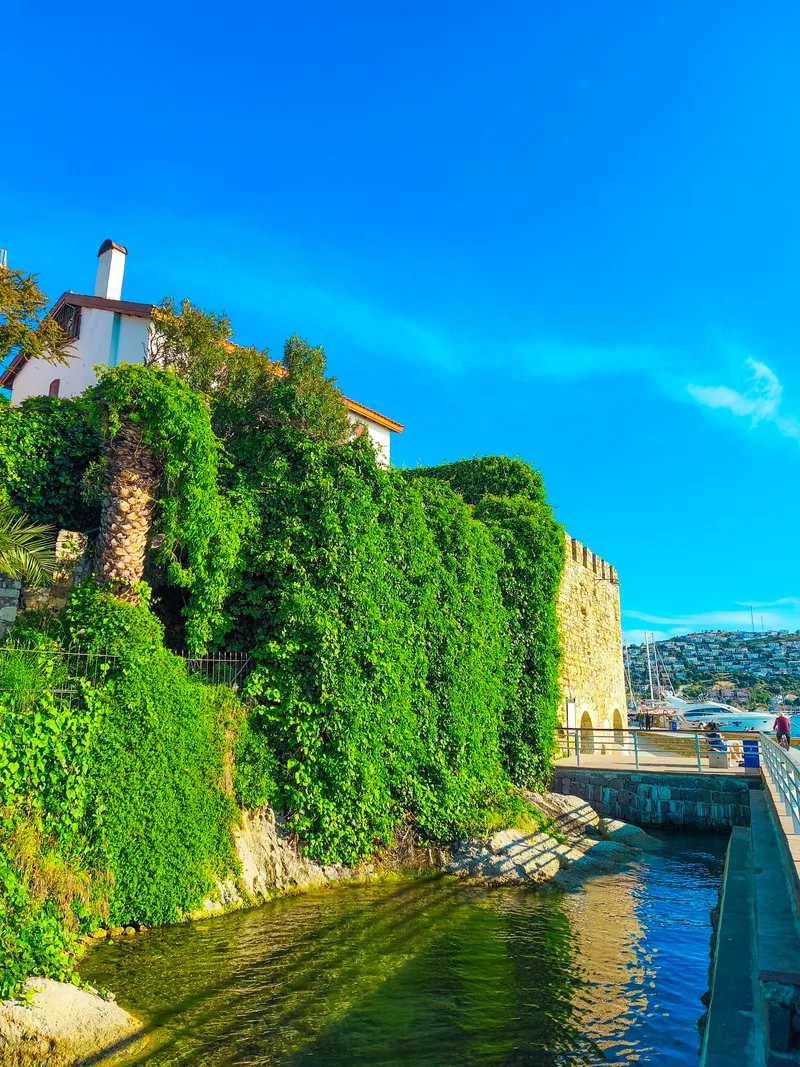 Coastal Houses Ivy Walls Yeni Foca Izmir Turkey