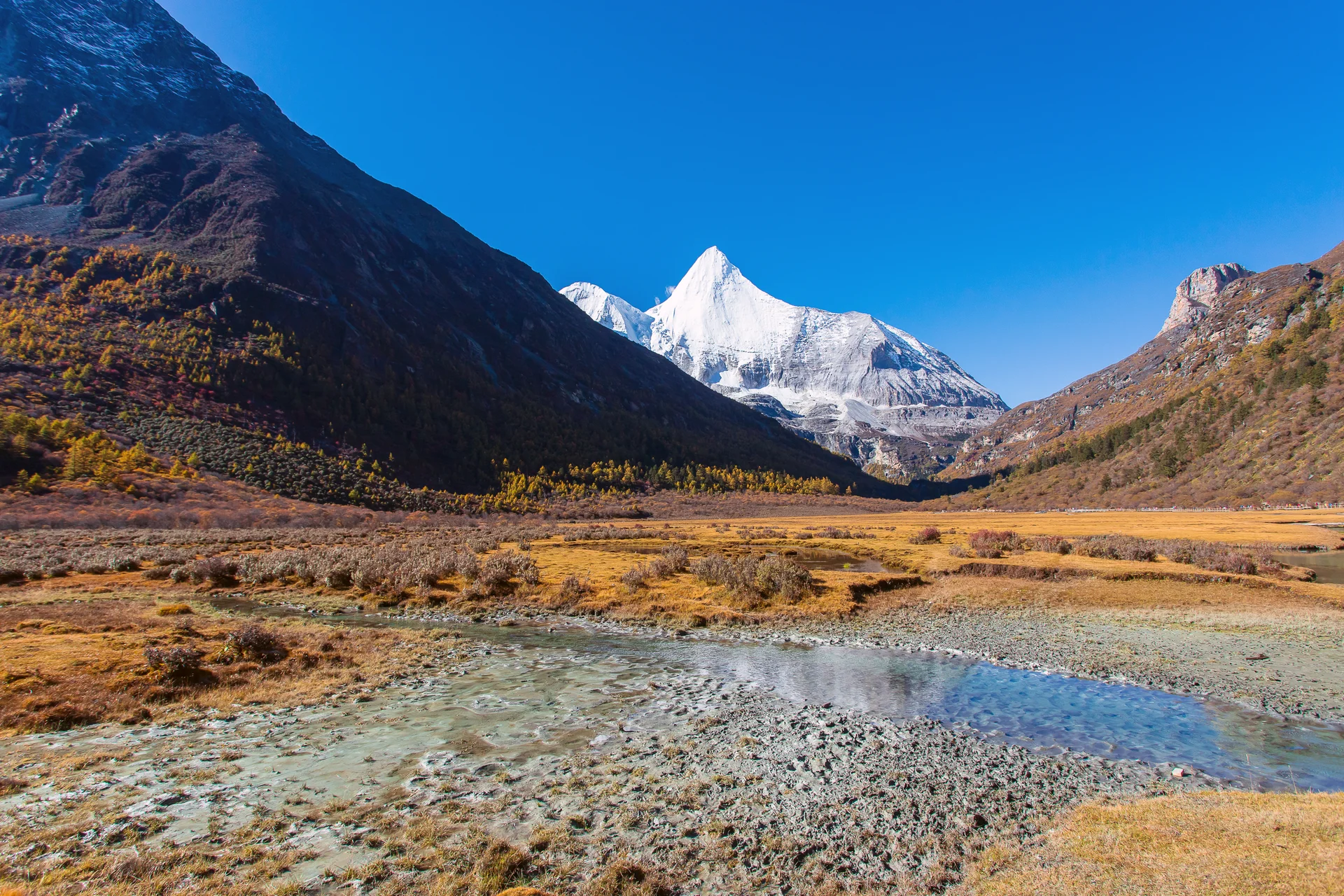 Colorful Autumn Forest Snow Mountain Yading Nature Reserve Last Shangri La. Nature wallpaper. 5996×3997px. Free download f…
