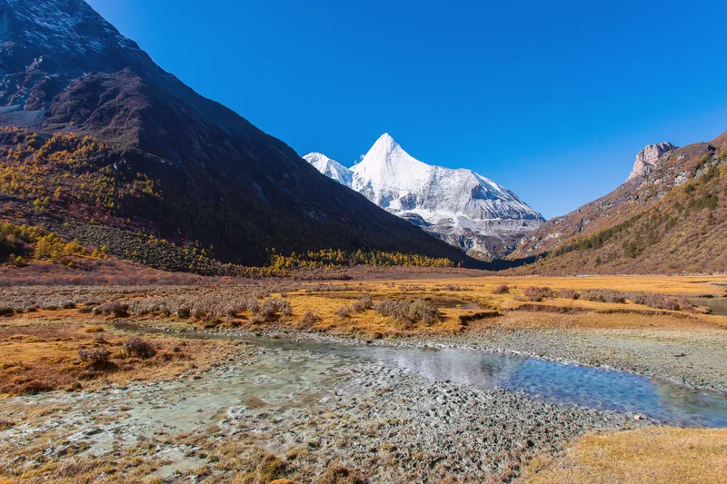Colorful Autumn Forest Snow Mountain Yading Nature Reserve Last Shangri La