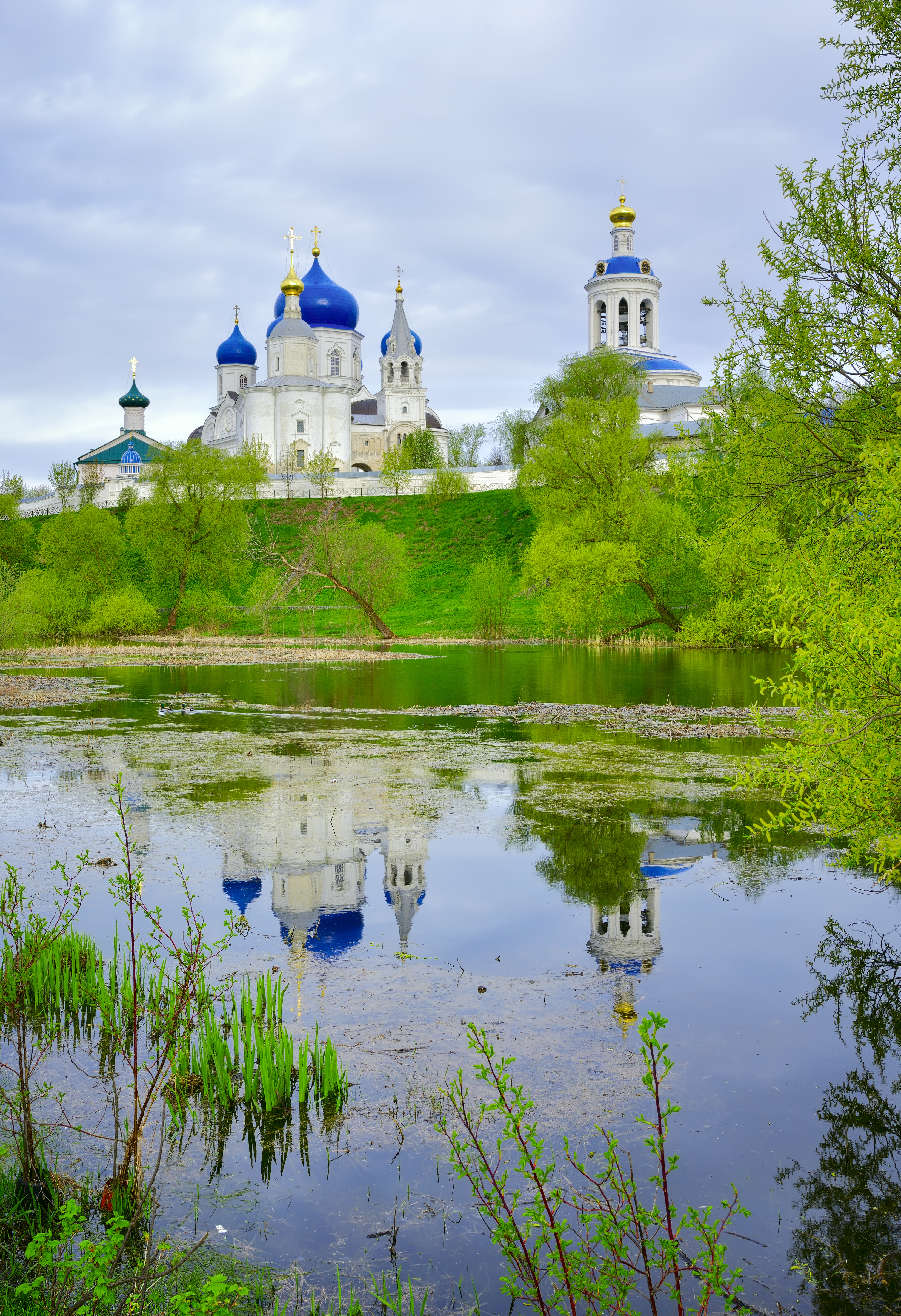 Domes Bogolyubov Monastery