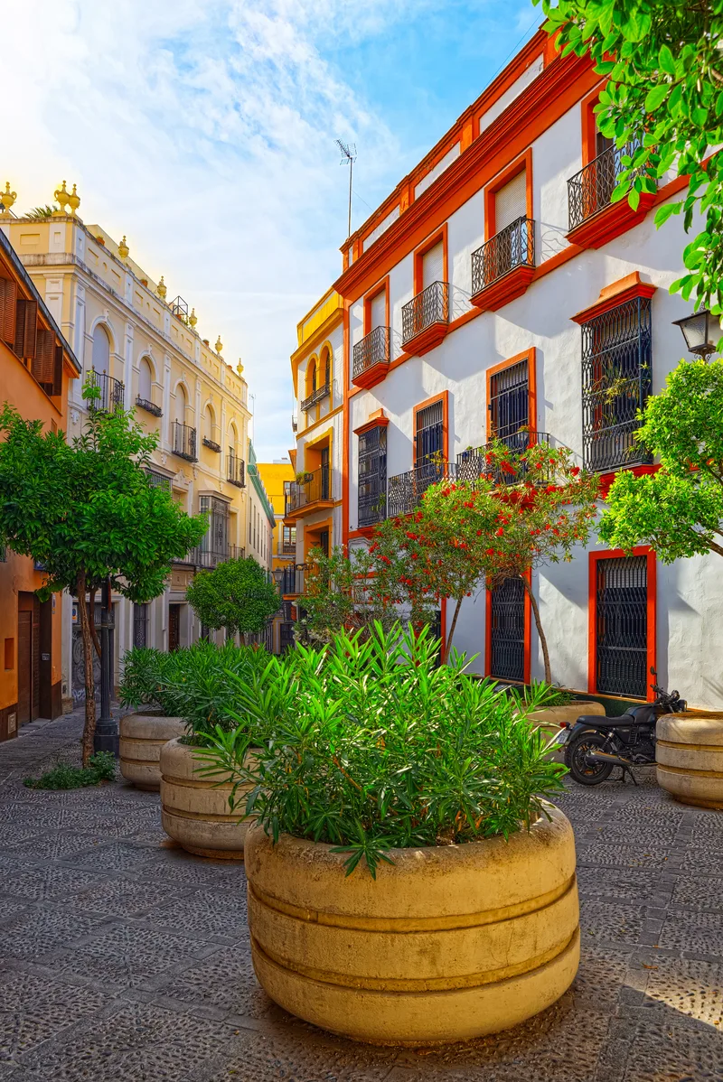 Downtown City Seville Is Capital Largest City O