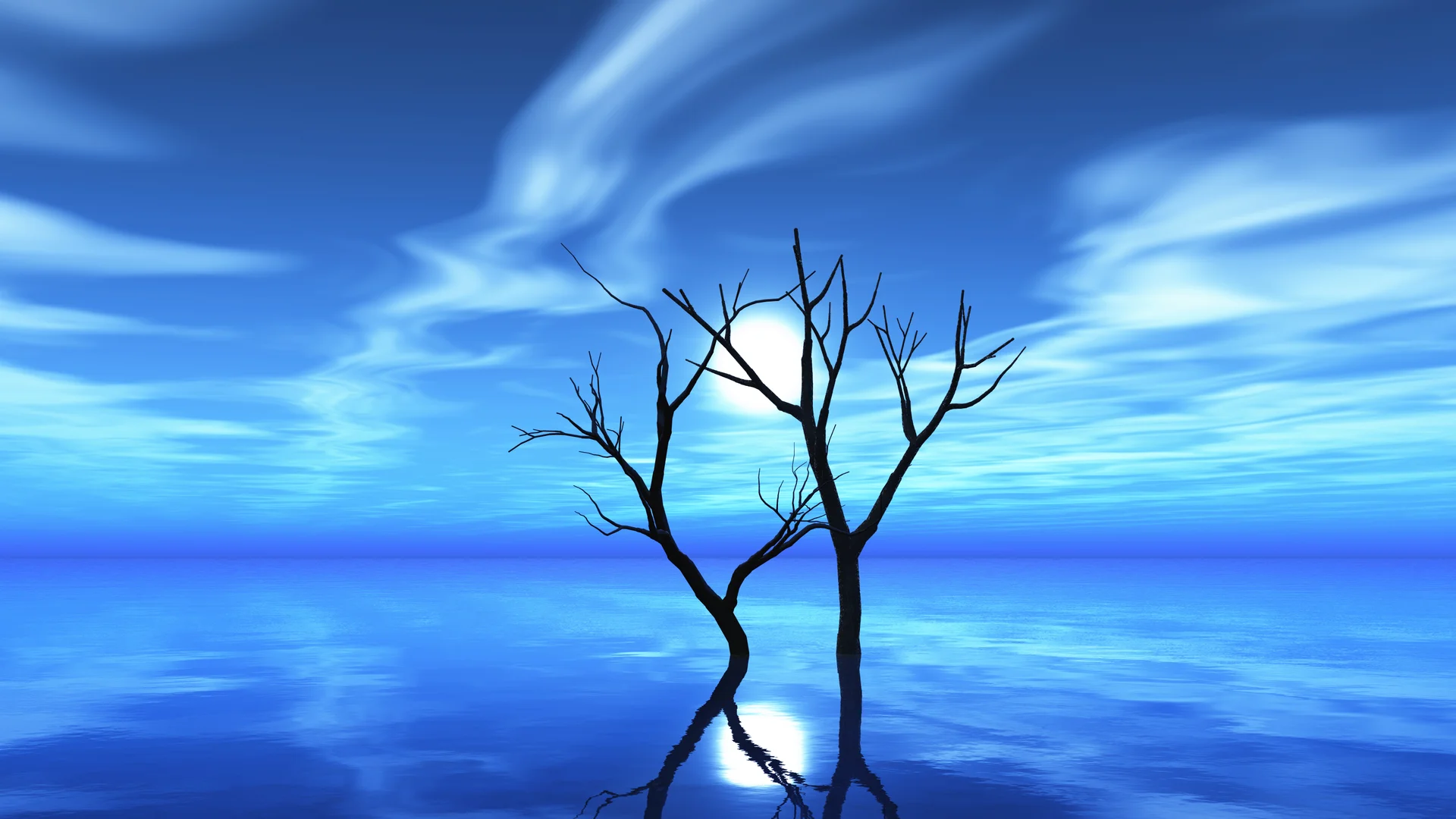 Dry Tree Moonlit Night. Nature wallpaper. 6000×3375px. Free download for personal use.
