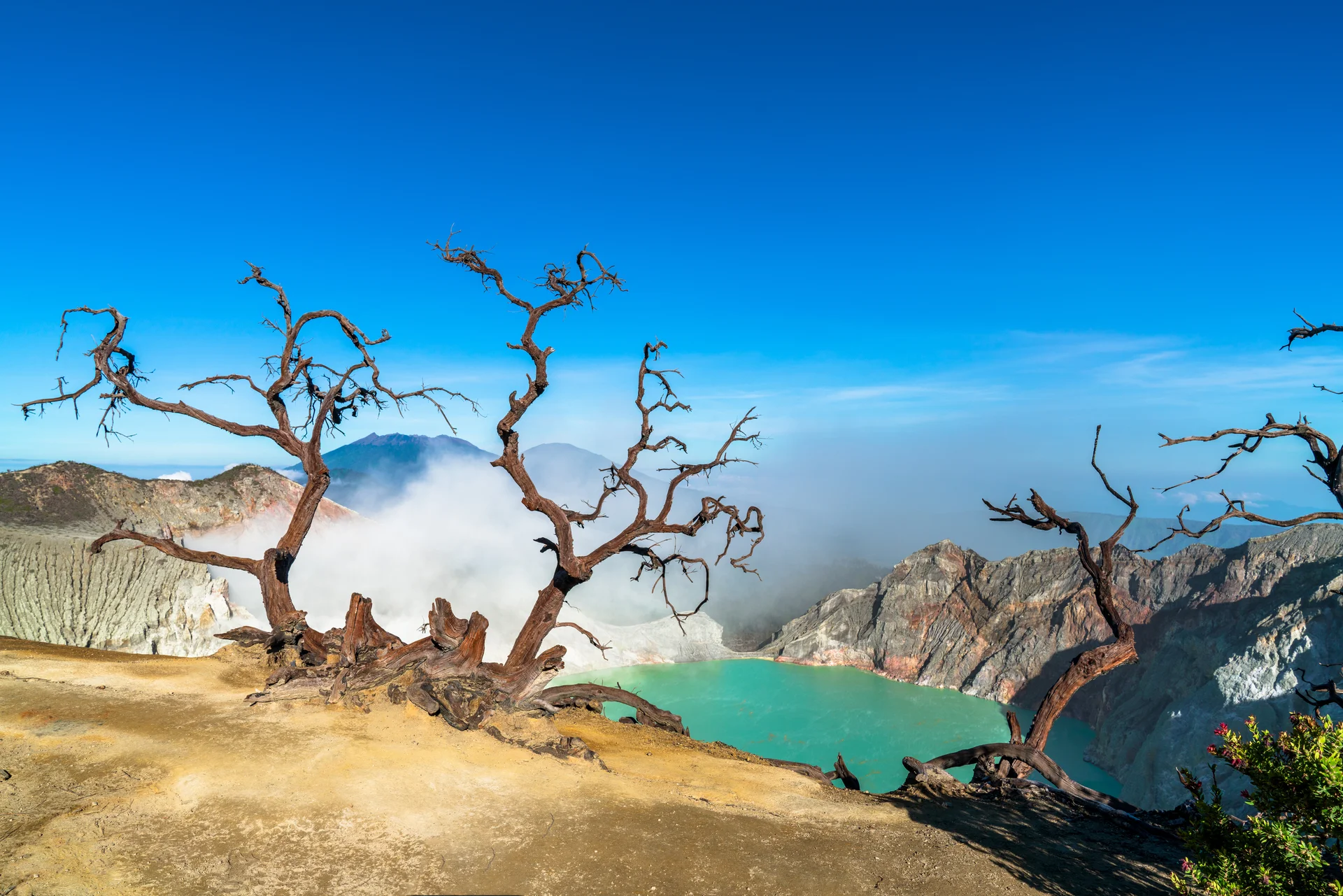 Dry Trees Rocky Landscape With Lake Background. Nature wallpaper. 6000×4002px. Free download for personal use.