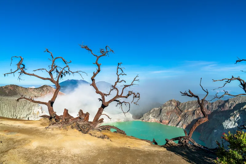 Dry Trees Rocky Landscape With Lake Background